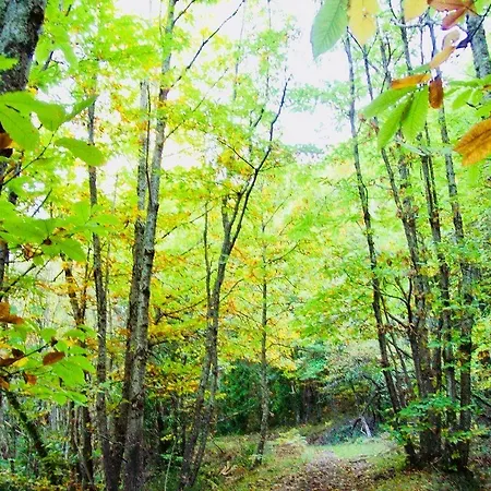 Hotel Conventual Sierra De Gata 4* San Martín de Trevejo