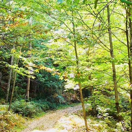 Hotel Conventual Sierra De Gata