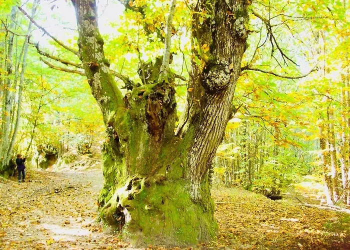 Hotel Conventual Sierra de Gata San Martín de Trevejo