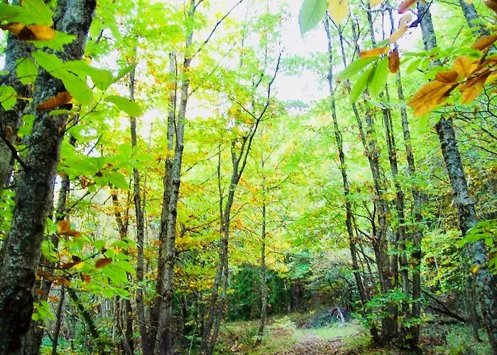 Hotel Conventual Sierra De Gata 4* San Martín de Trevejo